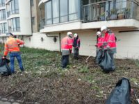 Charles Brand Team carry out litter pick along the River Lagan