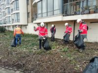 Charles Brand Team carry out litter pick along the River Lagan