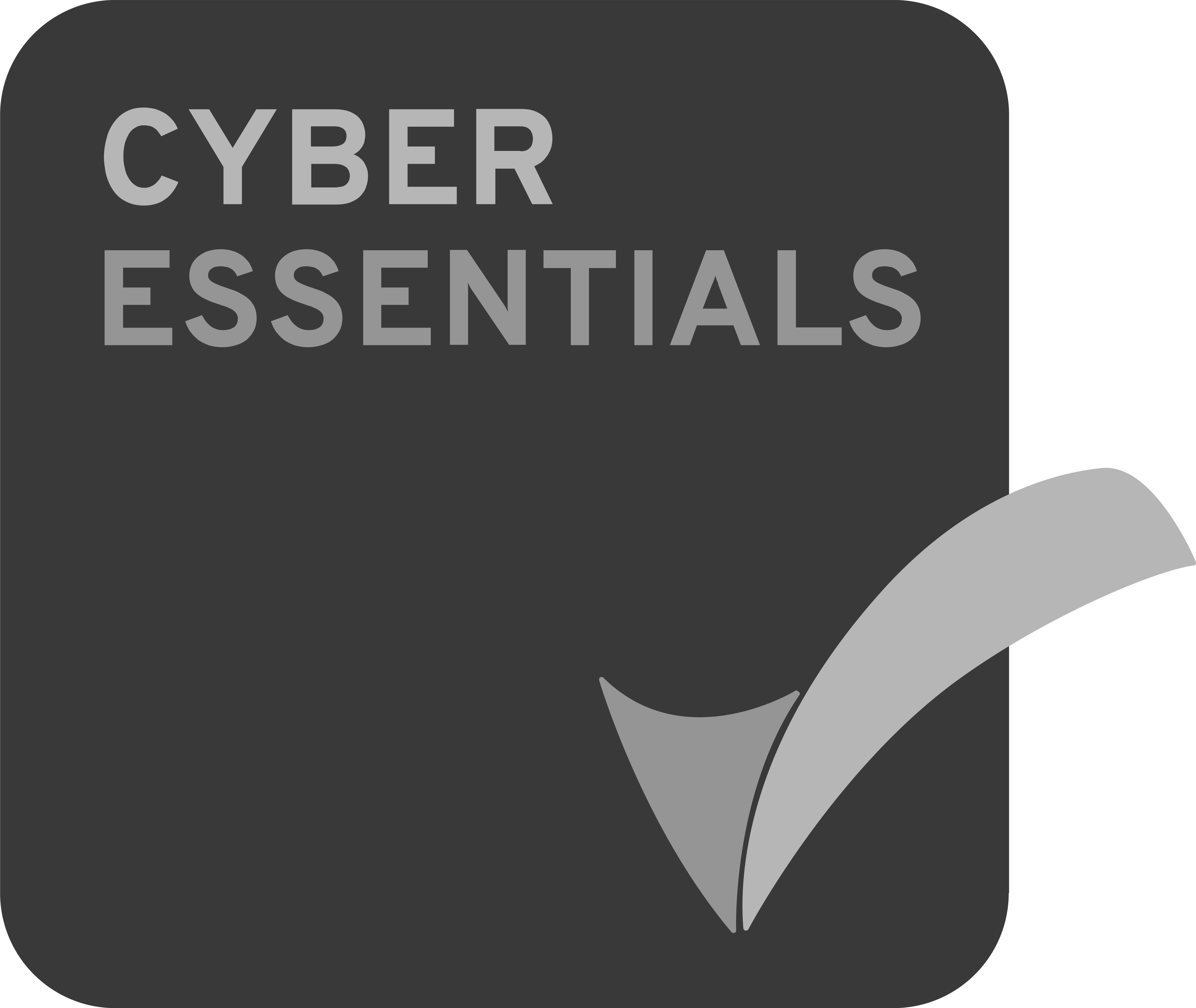 Cyber Essentials